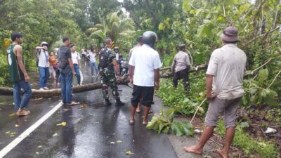 Pohon Tumbang dan Cuaca Ekstrem, Polsek Gerung Tanggap Hadapi Bahaya!