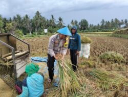 Polda NTB Aktif Beri Solusi, Jalin Silaturahmi dan Bantu Panen Padi