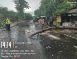 Polsek Rhee Polres Sumbawa Tanggap Bencana, Evakuasi Pohon Tumbang dan Bantu Korban