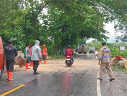 Bhabinkamtibmas Kelurahan Sampir dan BPBD Bersinergi Evakuasi Pohon Tumbang