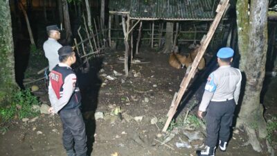 Patroli Dini Hari Polsek Sekotong: Jaga Ternak, Ciptakan Rasa Aman Warga