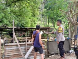 Sentuhan Bhabinkamtibmas: Petani Lombok Barat Berdaya!