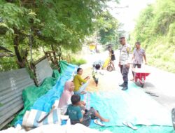 Dekat dengan Warga, Bhabinkamtibmas Kelurahan Nungga Bantu Petani Saat Panen Jagung