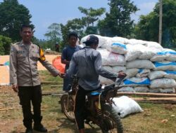 Dukung Ketahanan Pangan, Bhabinkamtibmas Kelurahan Nitu Lakukan Pengecekan Hasil Panen Jagung Petani