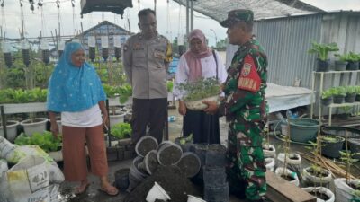 Perkuat Peran Perempuan, Kasi Sosial, Babinsa dan Bhabinkamtibmas Tinjau KWT Cendrawasih