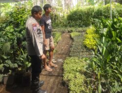 Banyumulek Barat Dorong Kemandirian Pangan Lewat Pekarangan Rumah