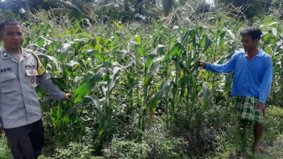 Polri Lombok Barat Gencarkan Ketahanan Pangan di Montong Are