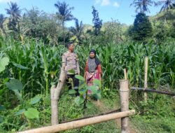 Bhabinkamtibmas Dukung Ketahanan Pangan di Sekotong Timur