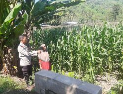 Polsek Lembar Dukung Ketahanan Pangan di Dusun Jelateng