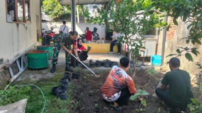 Babinsa Punia dan Lurah Sinergi Tanam Cabai, Wujudkan Lingkungan Hijau dan Mandiri Pangan