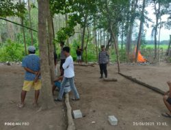 Polsek Lambu Bubarkan dan Bongkar Arena Sabung Ayam di Desa Melayu
