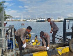 Menjelang HUT Bhayangkara ke-79, Polres Bima Kota Gelar Kerja Bakti Bersih Laut di Pelabuhan Bima