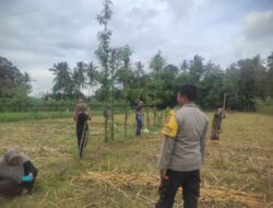 Bhabinkamtibmas Banyumulek Dampingi Petani Jagung Dorong Ketahanan Pangan