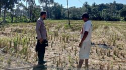 Warga Kuripan Didorong Mandiri Pangan Lewat Pekarangan