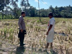 Warga Kuripan Didorong Mandiri Pangan Lewat Pekarangan