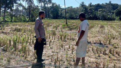 Warga Kuripan Didorong Mandiri Pangan Lewat Pekarangan