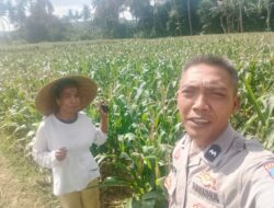 Pemanfaatan Pekarangan Dorong Ketahanan Pangan di Desa Kuripan