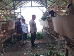 Ketahanan Pangan Dimulai dari Desa: Aksi Bhabinkamtibmas Kuripan Timur