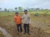 Bhabinkamtibmas Desa Montong Are Dorong Ketahanan Pangan Lokal