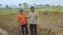 Bhabinkamtibmas Desa Montong Are Dorong Ketahanan Pangan Lokal