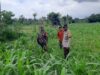 Bhabinkamtibmas Montong Are Dukung Petani Tingkatkan Ketahanan Pangan
