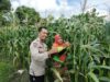 Bhabinkamtibmas Dorong Ketahanan Pangan di Labuapi melalui Pemanfaatan Lahan Warga