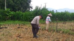 Bhabinkamtibmas Kuripan Dorong Pemanfaatan Pekarangan untuk Ketahanan Pangan