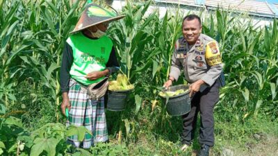 Bhabinkamtibmas Desa Bagik Polak Barat Dorong Warga Tanam Pangan