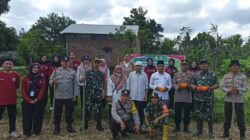 Sinergi Polsek Batulayar dan Warga Sandik Tanam Jagung Dukung Ketahanan Pangan