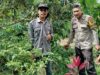 Edukasi Warga Manfaatkan Lahan Pekarangan, Bhabinkamtibmas Polsek Donggo Sukseskan Program Ketahanan Pangan Nasional
