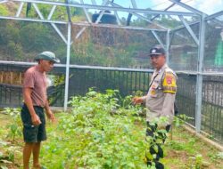 Bhabinkamtibmas Desa Mantun Dampingi Pengelolaan Pekarangan Pangan Bergizi