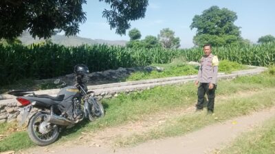 Lahan Jagung So Na’e Telah Terisi Penuh, Bhabinkamtibmas Pastikan Tak Ada Persiapan Tanam Kuartal Ketiga