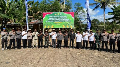 Penanaman Jagung Serentak Kuartal III dan Lahan Perhutanan Sosial Dukung Ketahanan Pangan di Sumbawa