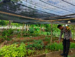 Bhabinkamtibmas Desa Bangkat Monteh Dampingi Warga Tanam Pekarangan Bergizi Dukung Program Swasembada Pangan