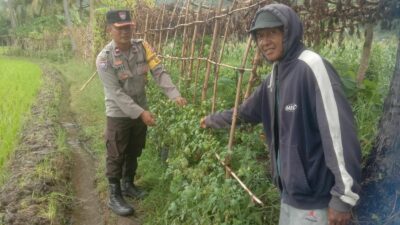 Bhabinkamtibmas Desa Rhee Gencarkan Ketahanan Pangan dengan Membantu Warga Manfaatkan Pekarangan
