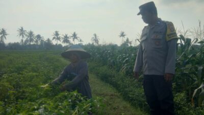 Bhabin Montong Are Garda Ketahanan Pangan dan Kamtibmas