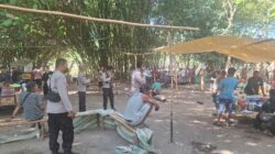Polsek Plampang Bubarkan Tempat Perjudian Sabung Ayam di Maronge, Polisi Berikan Himbauan
