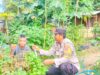 Bhabinkamtibmas Desa Mantun Dampingi Warga Kelola Pekarangan Pangan Bergizi, Dukung Ketahanan Pangan dan Program Asta Cita