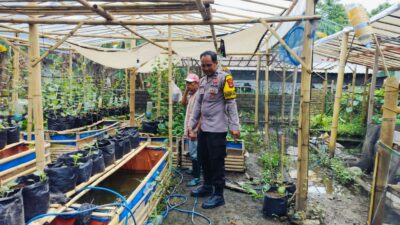 Warga Dusun Tempit Diajak Tanam Sayur di Pekarangan, Dukung Ketahanan Pangan Nasional