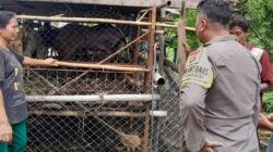 Sinergi Polisi dan Warga Krandangan: Optimalkan Lahan Kosong Jadi Sumber Pangan