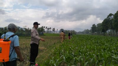 Polsek Kediri Dampingi Petani Desa Lelede Tingkatkan Ketahanan Pangan