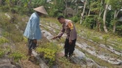 Bhabinkamtibmas Desa Kuranji Ajak Warga Manfaatkan Lahan Kosong untuk Ketahanan Pangan