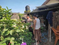 Peran Bhabinkamtibmas Kuranji dalam Perkuat Ketahanan Pangan Lokal