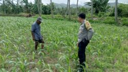 Bhabinkamtibmas Cendi Manik Dorong Ketahanan Pangan Lewat Pendekatan Humanis