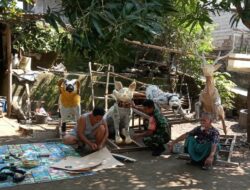 Semarak Persiapan Gawe Gubuk Sedesa Peteluan Indah Dimulai