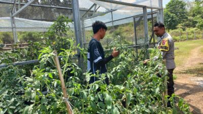 BHABINKAMTIBMAS TONGO DAMPINGI WARGA KELOLA LAHAN PEKARANGAN UNTUK PANGAN BERGIZI
