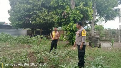 Panit Binmas Polsek Alas Gencarkan Program Ketahanan Pangan di Desa Dalam