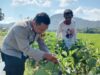 BHABINKAMTIBMAS DESA MOTENG DAMPINGI MASYARAKAT KELOLA LAHAN PANGAN KREATIF