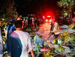 Evakuasi Pohon Tumbang di Karang Kates Berjalan Cepat