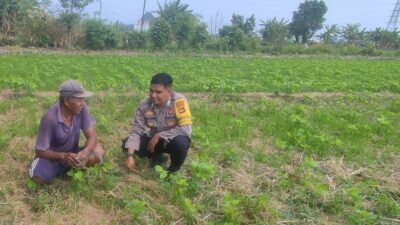 Bhabinkamtibmas Desa Kuranji Ajak Warga Manfaatkan Lahan Kosong untuk Ketahanan Pangan